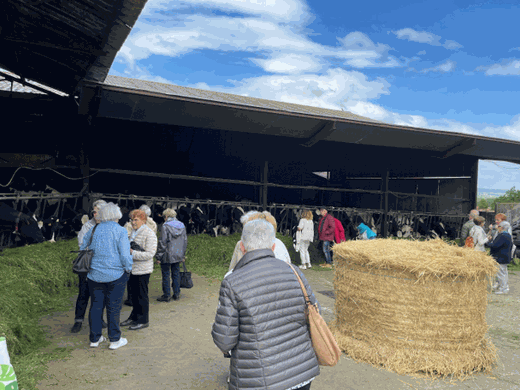 Odoo - Echantillon n°1 pour trois colonnes